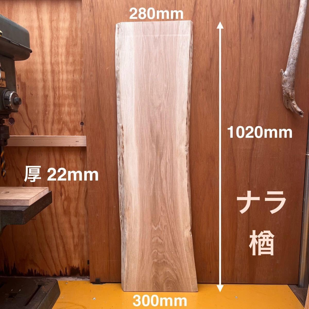 楢 ナラ オーク 一枚板